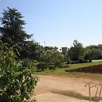 Basanija 7149b