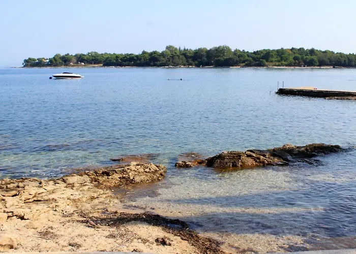 Basanija 7149b Savudrija