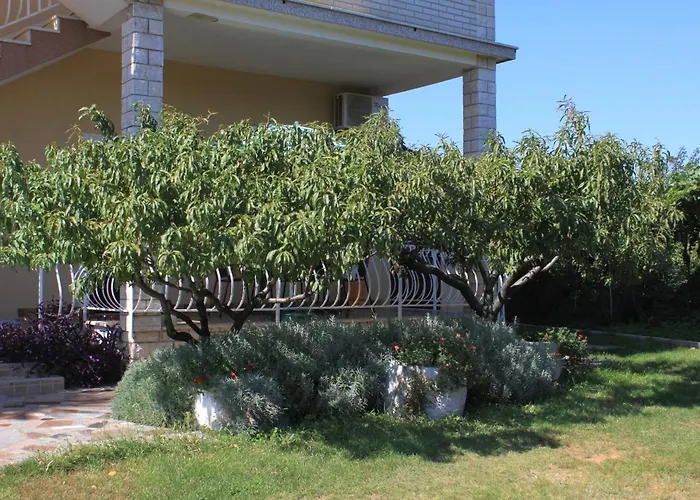 Basanija 7149b Appartement *