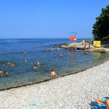 Basanija 7149b Apartamento *