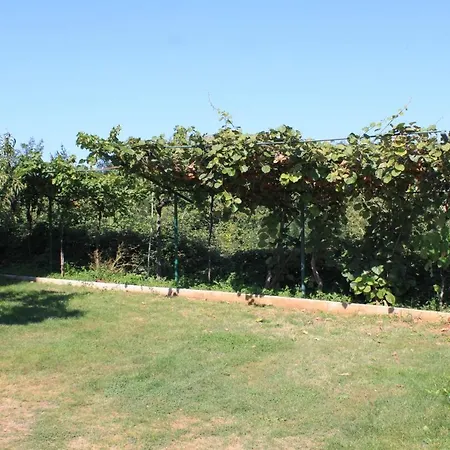 Basanija 7149b Apartamento