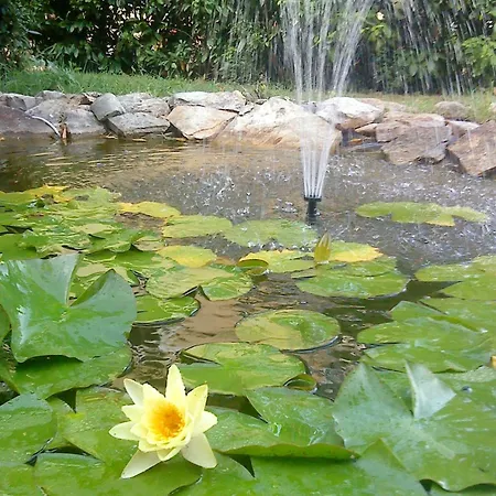 Appartamento Basanija 7149b *