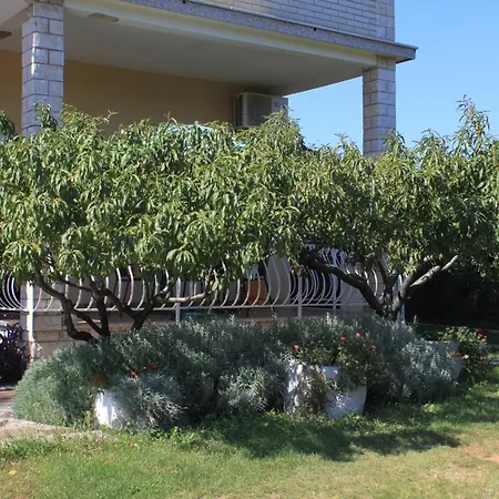 Basanija 7149b Appartamento *