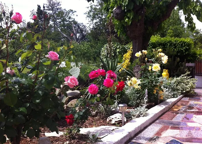 Appartamento Basanija 7149b