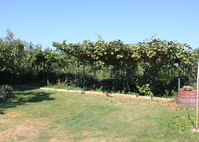 Basanija 7149b Appartamento